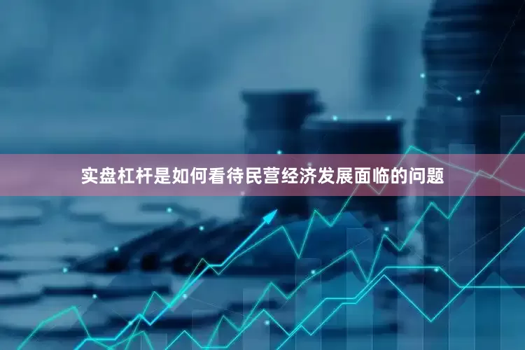 实盘杠杆是如何看待民营经济发展面临的问题