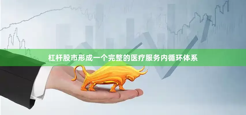 杠杆股市形成一个完整的医疗服务内循环体系