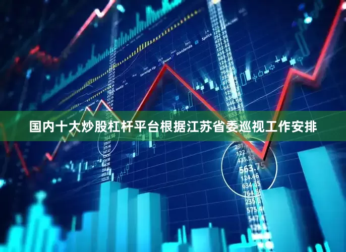 国内十大炒股杠杆平台根据江苏省委巡视工作安排