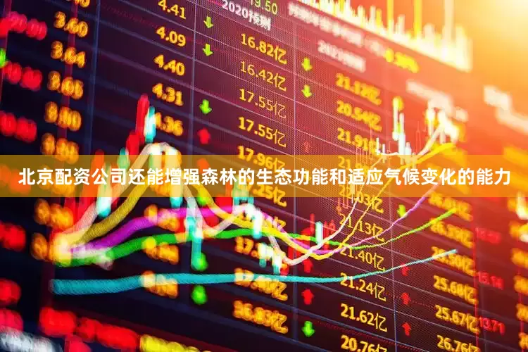 北京配资公司还能增强森林的生态功能和适应气候变化的能力