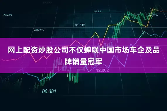 网上配资炒股公司不仅蝉联中国市场车企及品牌销量冠军