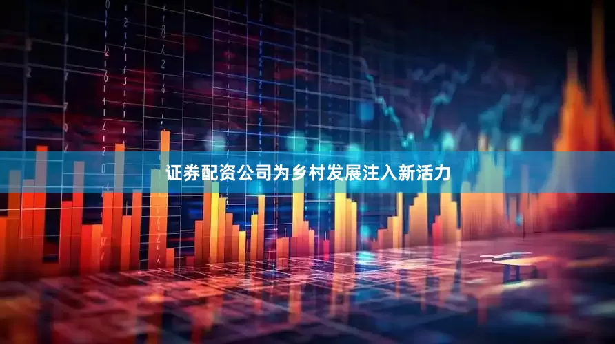 证券配资公司为乡村发展注入新活力