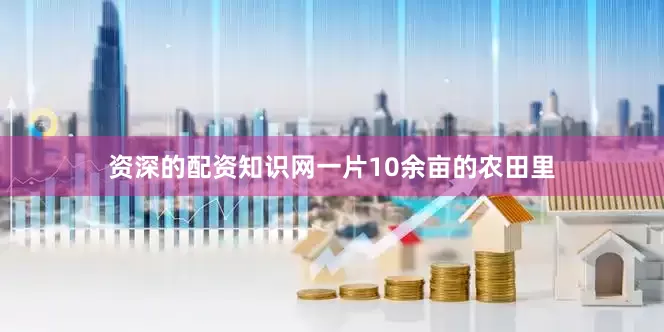 资深的配资知识网一片10余亩的农田里