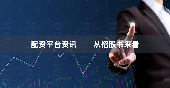 配资平台资讯 从招股书来看