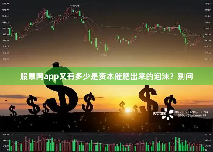 股票网app又有多少是资本催肥出来的泡沫？别问